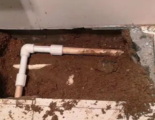 禹州测漏水哪家好