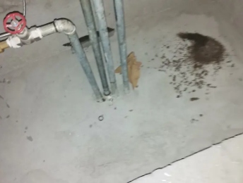 禹州卫生间测漏水价格明细